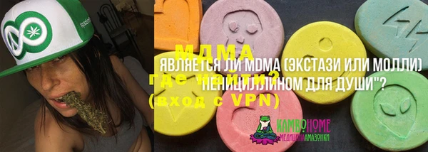 гидра Арсеньев