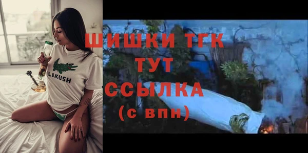 гидра Арсеньев