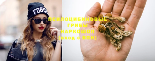 дживик Аркадак