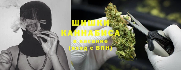 дживик Аркадак