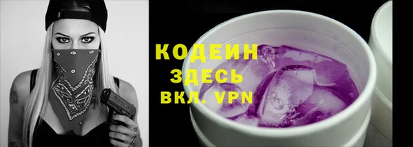 гидра Арсеньев
