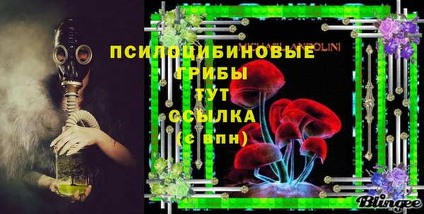 гидра Арсеньев