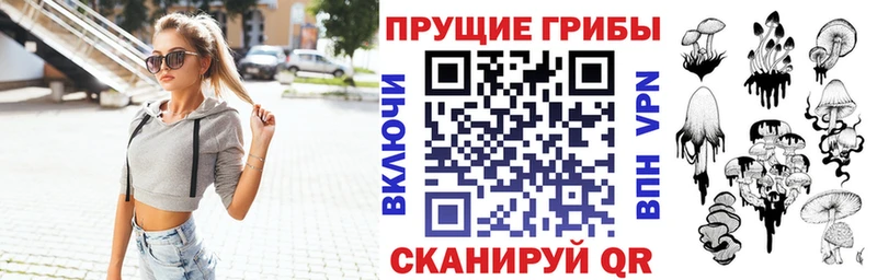 Купить закладки  Лянтор  Псилоцибиновые грибы Psilocybe 